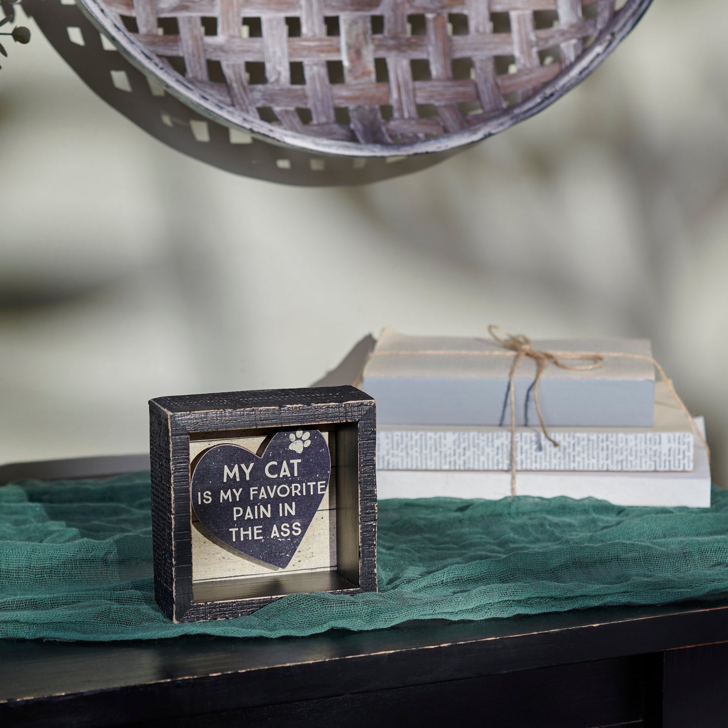 My Cat Is My Favorite Pain In The Ass Box Sign