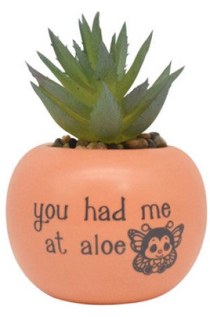 You Had Me At Aloe Artificial Succulent
