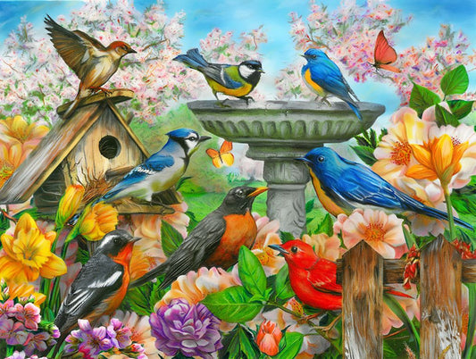 Bird Bath Puzzle