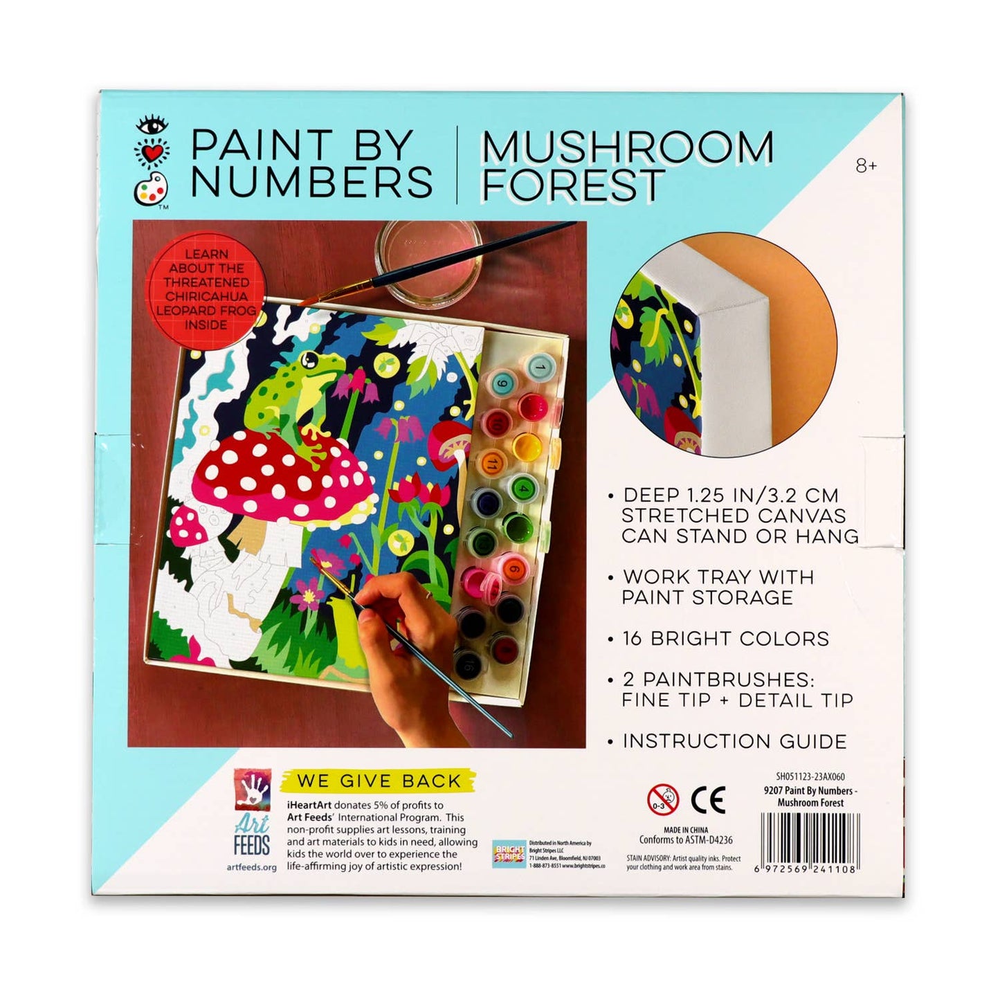 Paint By Numbers Mushroom Forest