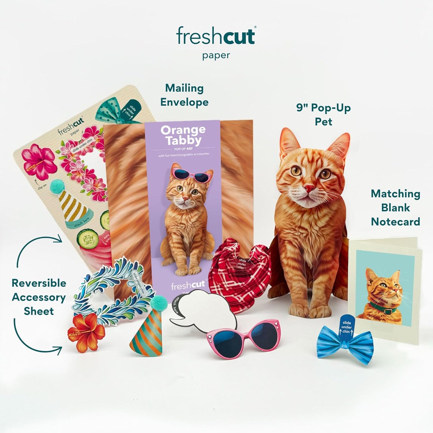 Orange Tabby FreshCut Paper - Pop Up Pet Card