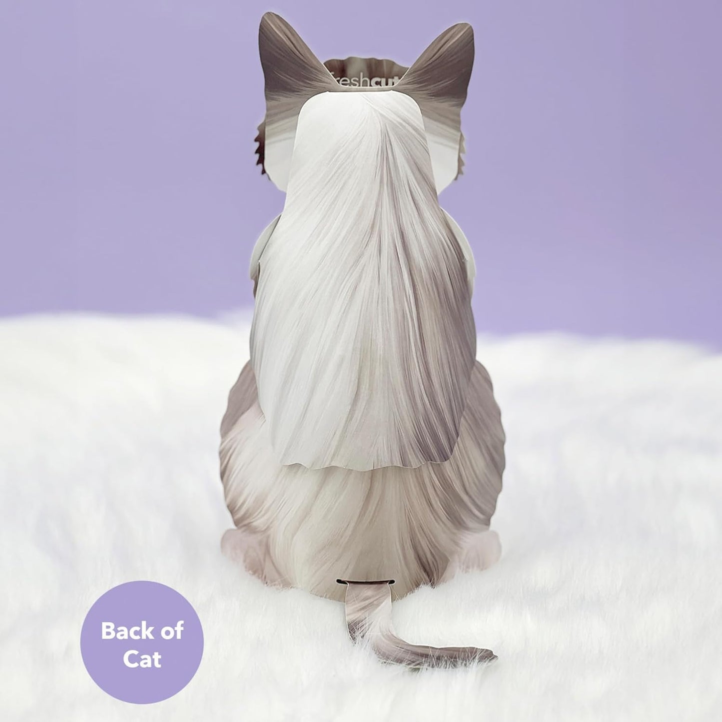 Ragdoll Cat FreshCut Paper - Pop Up Pet Card