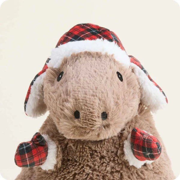 Cozy Capybara Warmies