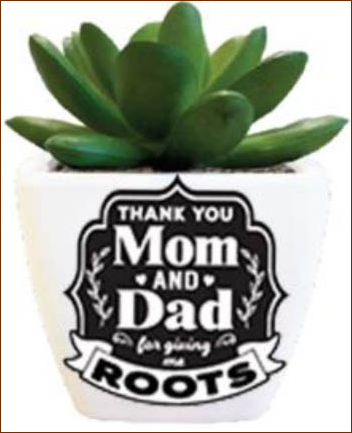 Thank you Mom and Dad for giving me roots Sentiment Succulent