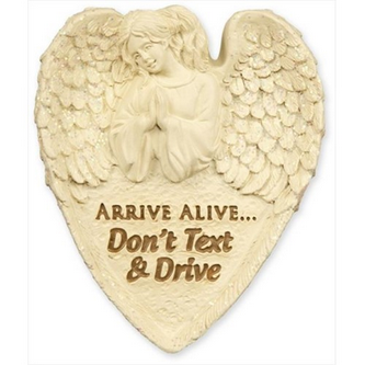 Inspiring Visor Clips