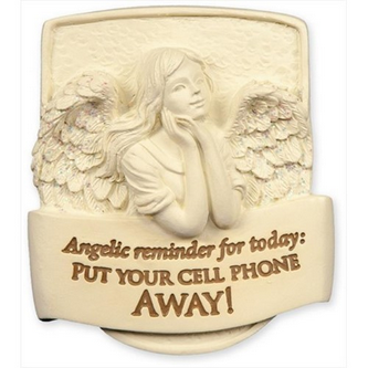 Inspiring Visor Clips