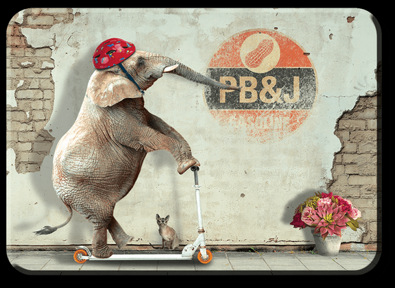 Elephant on Scooter Magnet