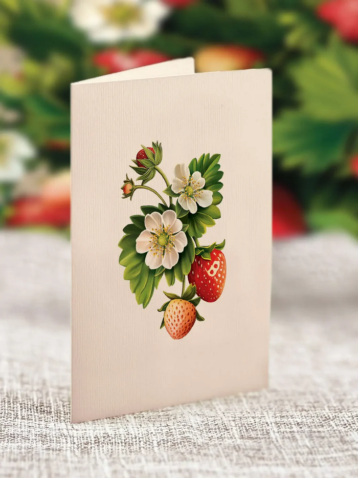 Strawberry Blossom FreshCut Paper - Pop Up Flower Bouquet