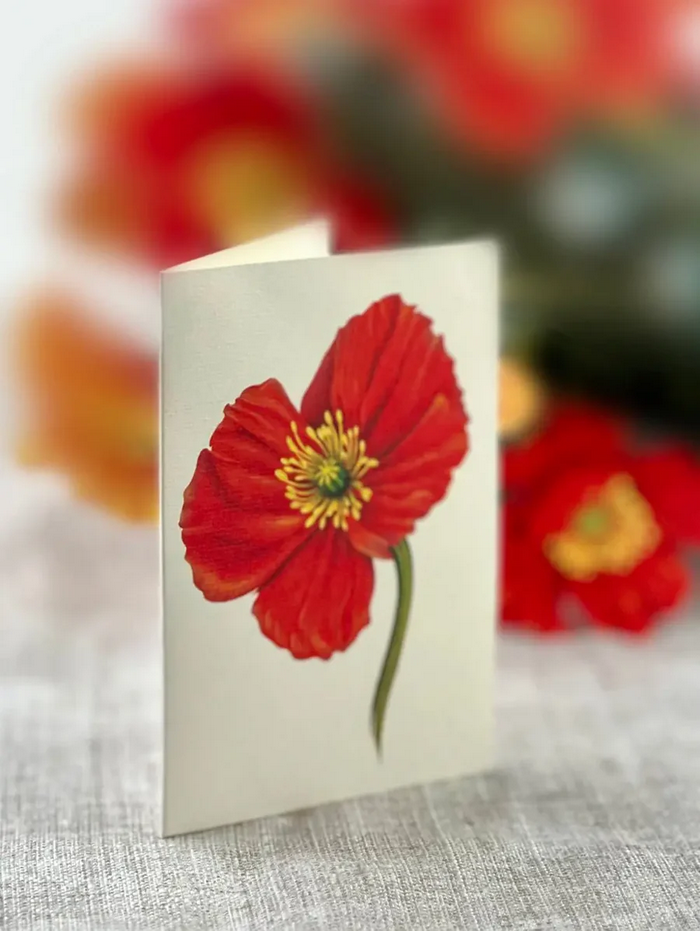 French Poppies FreshCut Paper - Pop Up Flower Bouquet