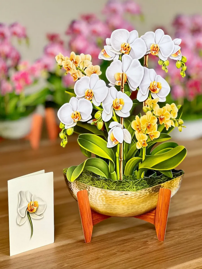 Serenity Orchid FreshCut Paper - Pop Up Flower Bouquet