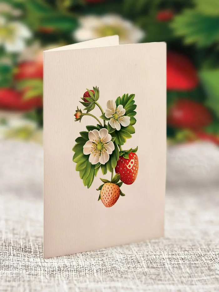 Mini Strawberry Blossom FreshCut Paper - Pop Up Flower Bouquet