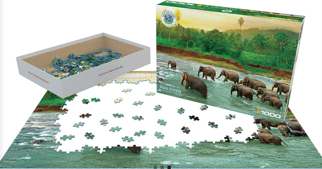 Rainforest Jigsaw Puzzle