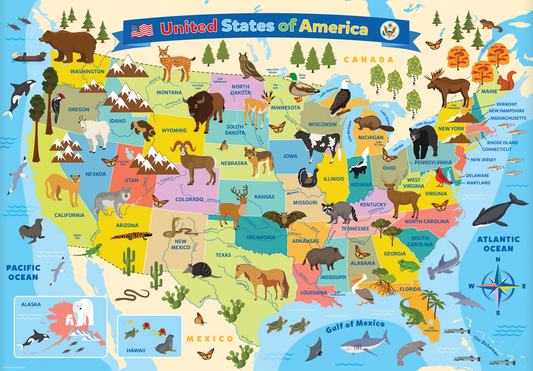 Map of the United States of America Jigsaw Puzzle
