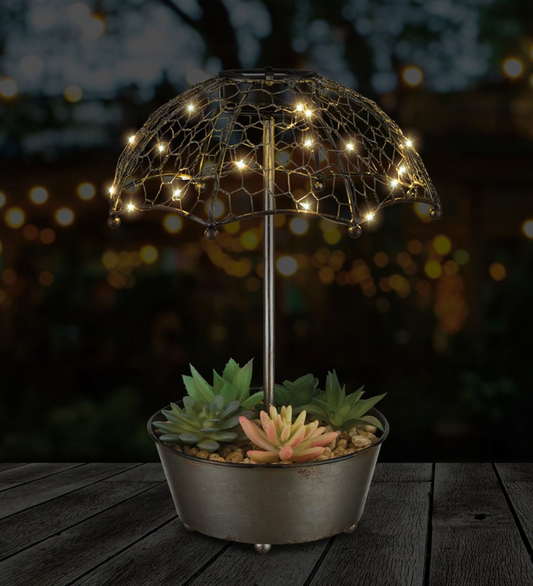 Umbrella Succulent Solar Decor