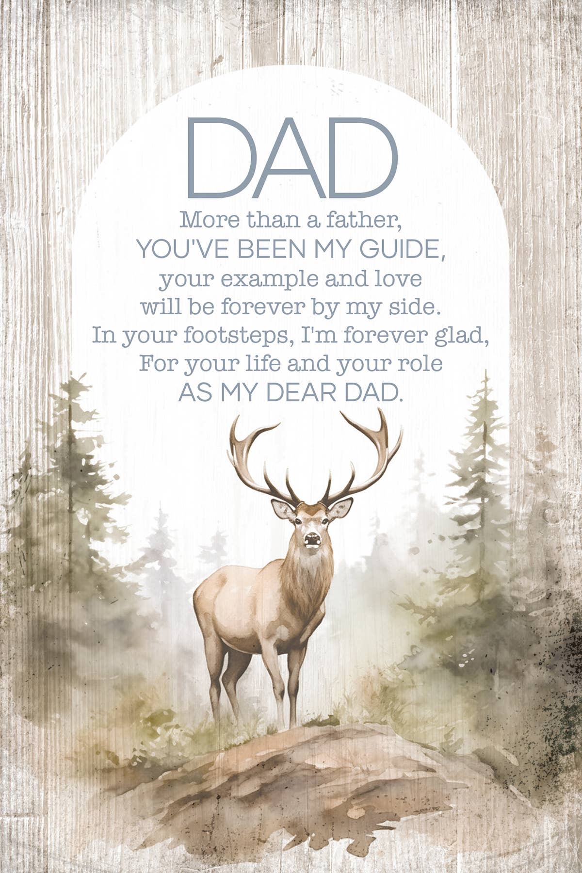 Dad, More Than a Father Plaque