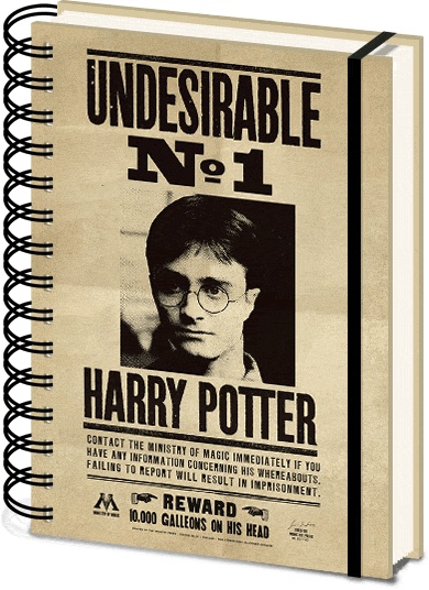 Harry Potter 3d Notebook