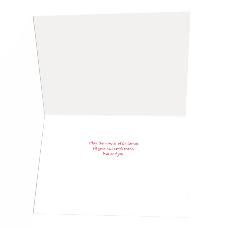 Three Wise Cacti Boxed Christmas Cards