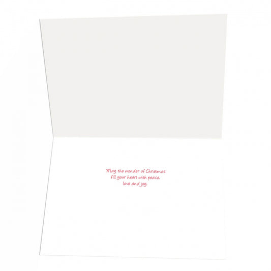 Three Wise Cacti Boxed Christmas Cards