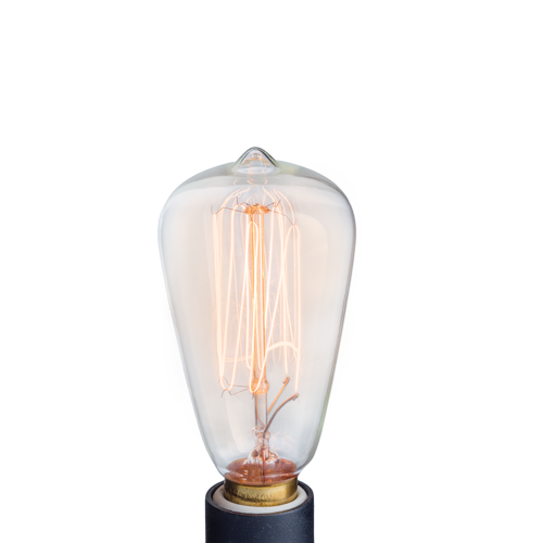 NP3 Vintage Style Light Bulb