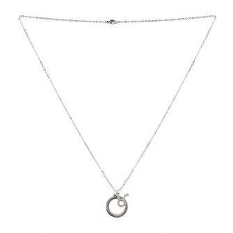 Taurus Charm Necklace