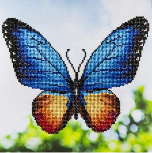 Butterfly- Diamond Art Kit