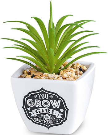You Grow Girl...Sentiment Succulent