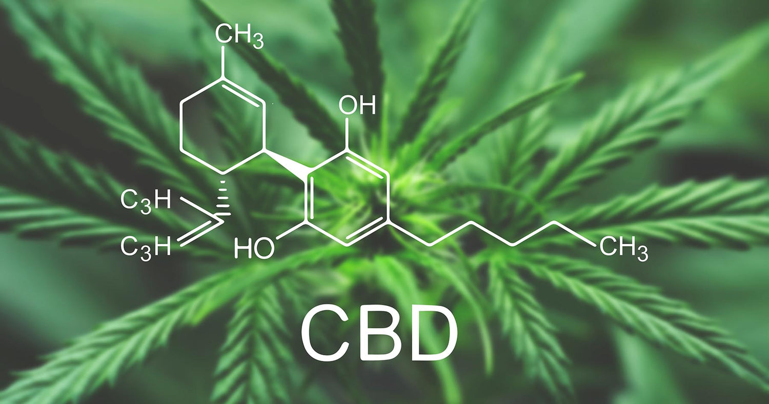 All things CBD