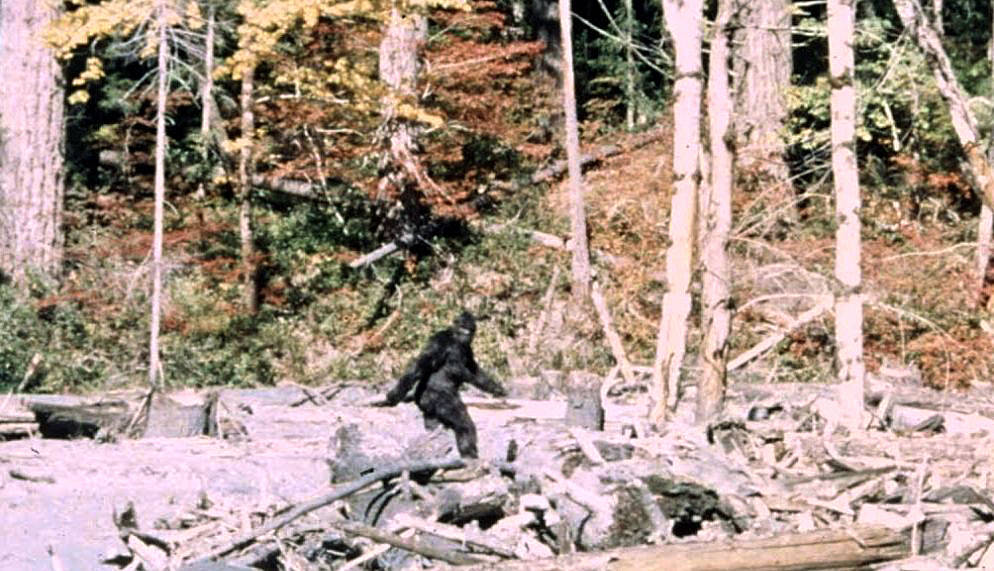 Bigfoot Sasquatch