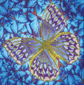 Flutter by Silver Diamond Dotz
