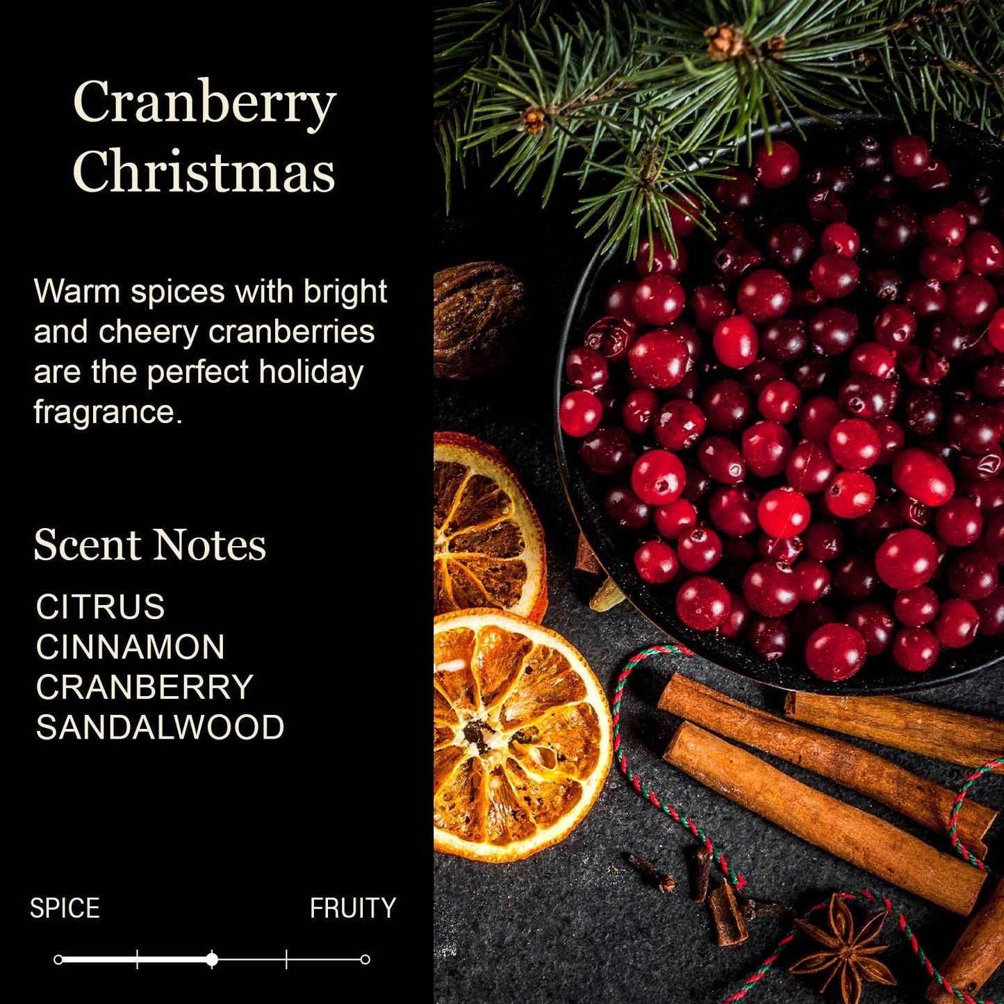 Coworkers Are Like Christmas Lights Color Candle