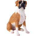 Boxer Figurine / Fawn