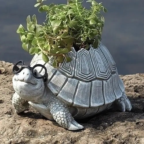 Turtle Planter