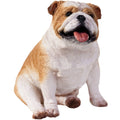 Bulldog  Figurine / Fawn