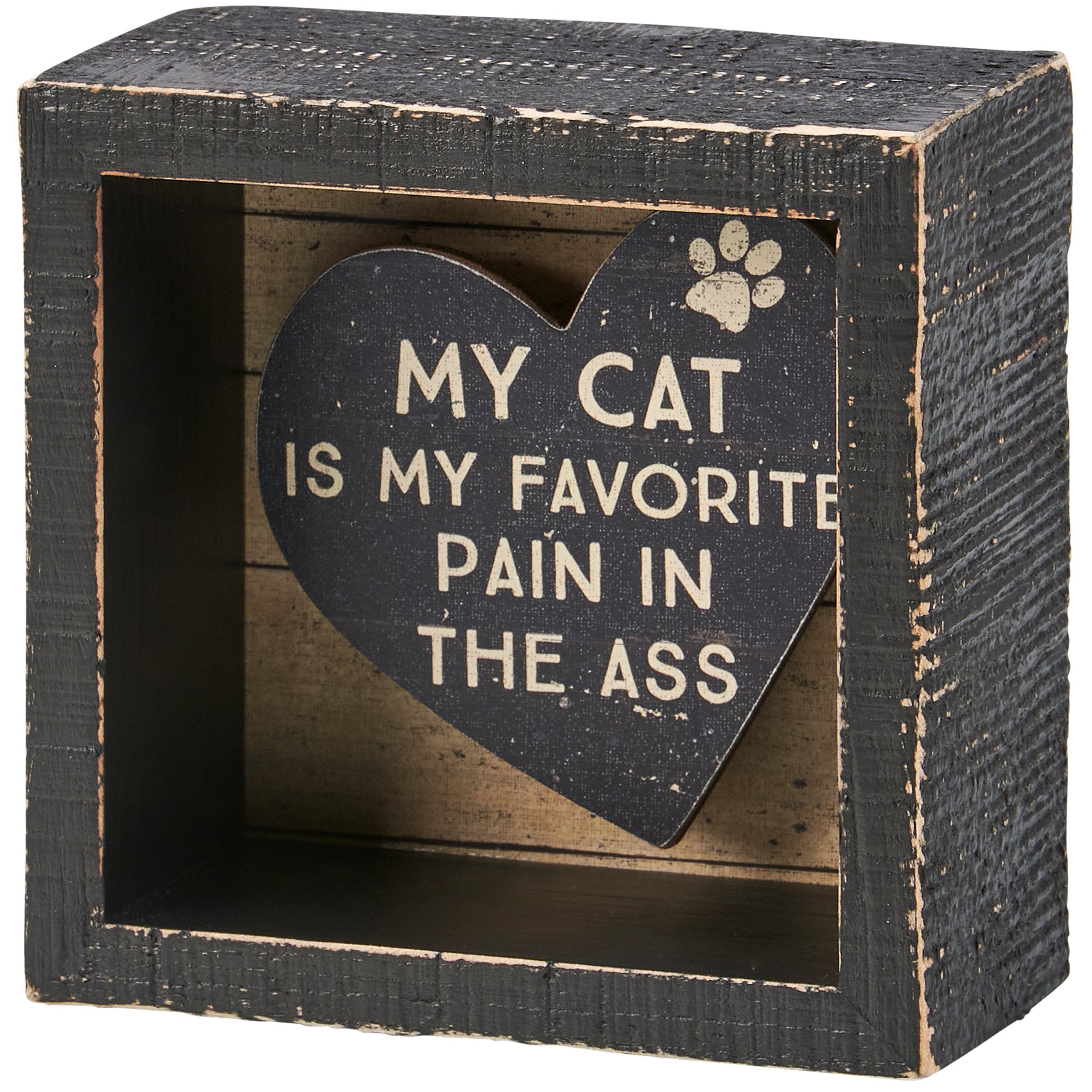 My Cat Is My Favorite Pain In The Ass Box Sign