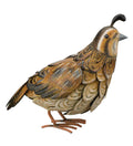 Female Quail