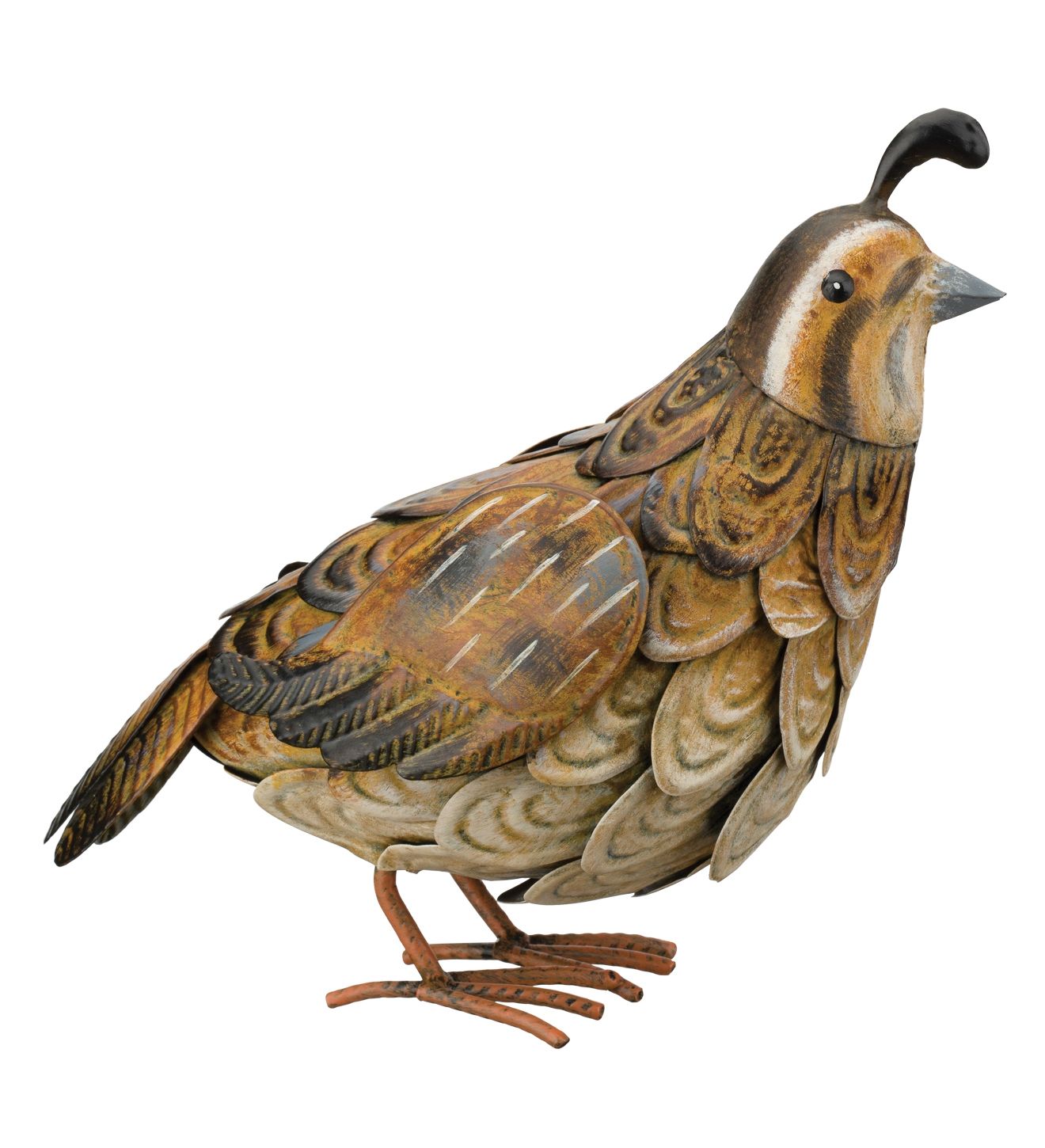 Female Quail