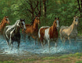 Summer Creek Puzzle