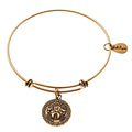 Cancer Zodiac Gold Expandable Bangle Charm Bracelet