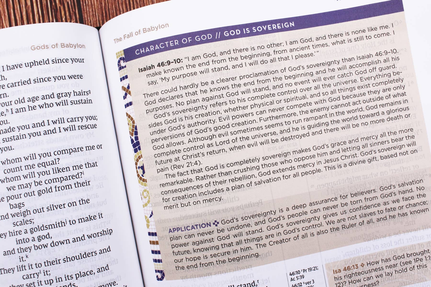 NIV Application Bible Leathersoft Brown Red Letter