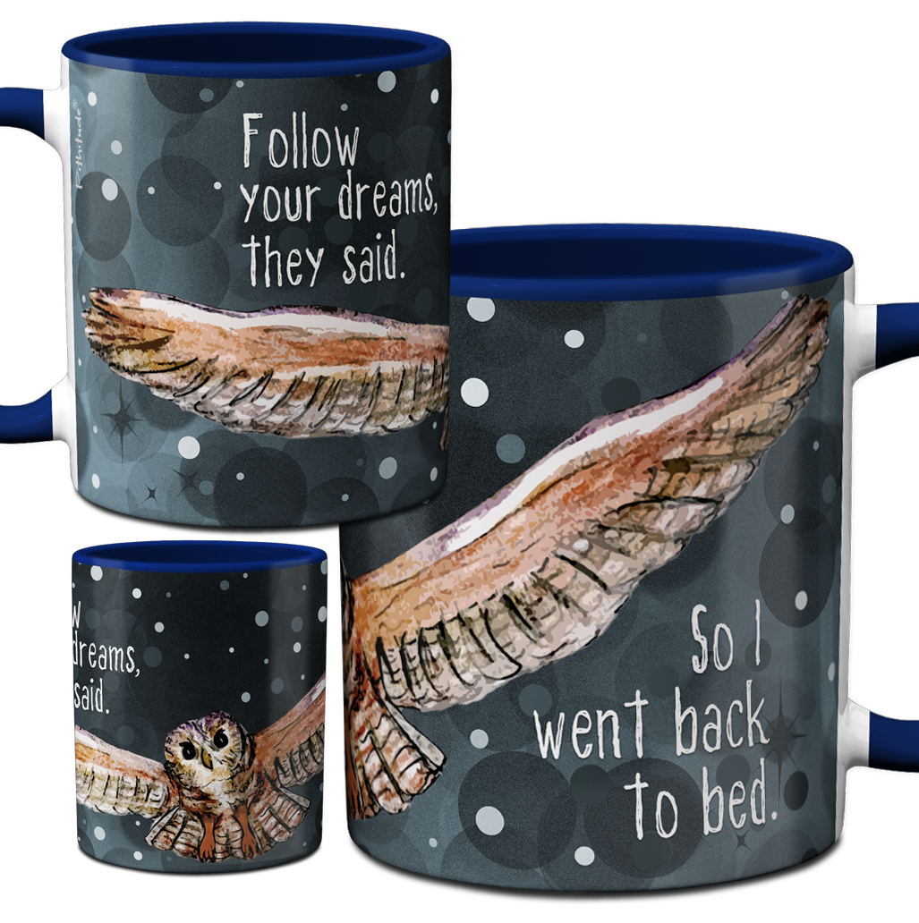 Owl Dreams Mug