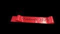 Graduate 2025 Sash