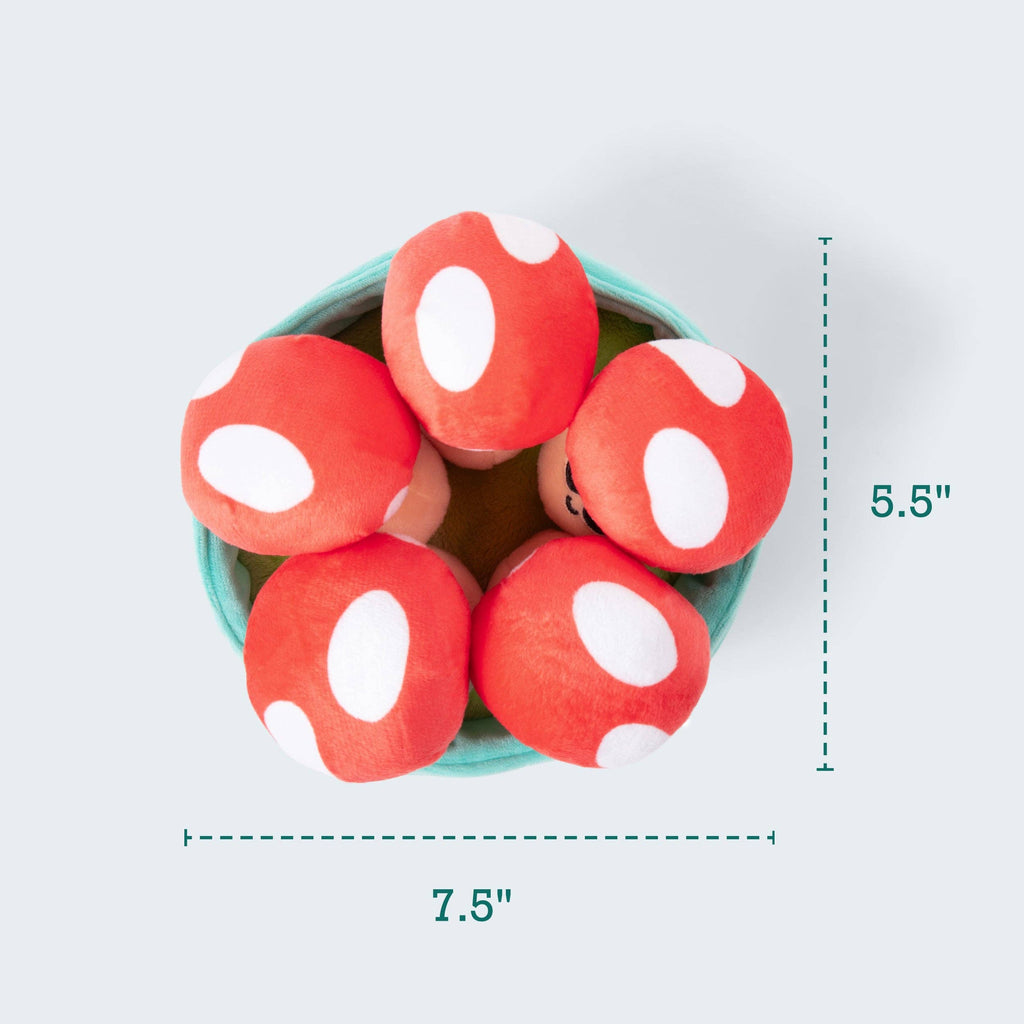 Emotional Support Mushrooms - Set of 5 Fungi Friends