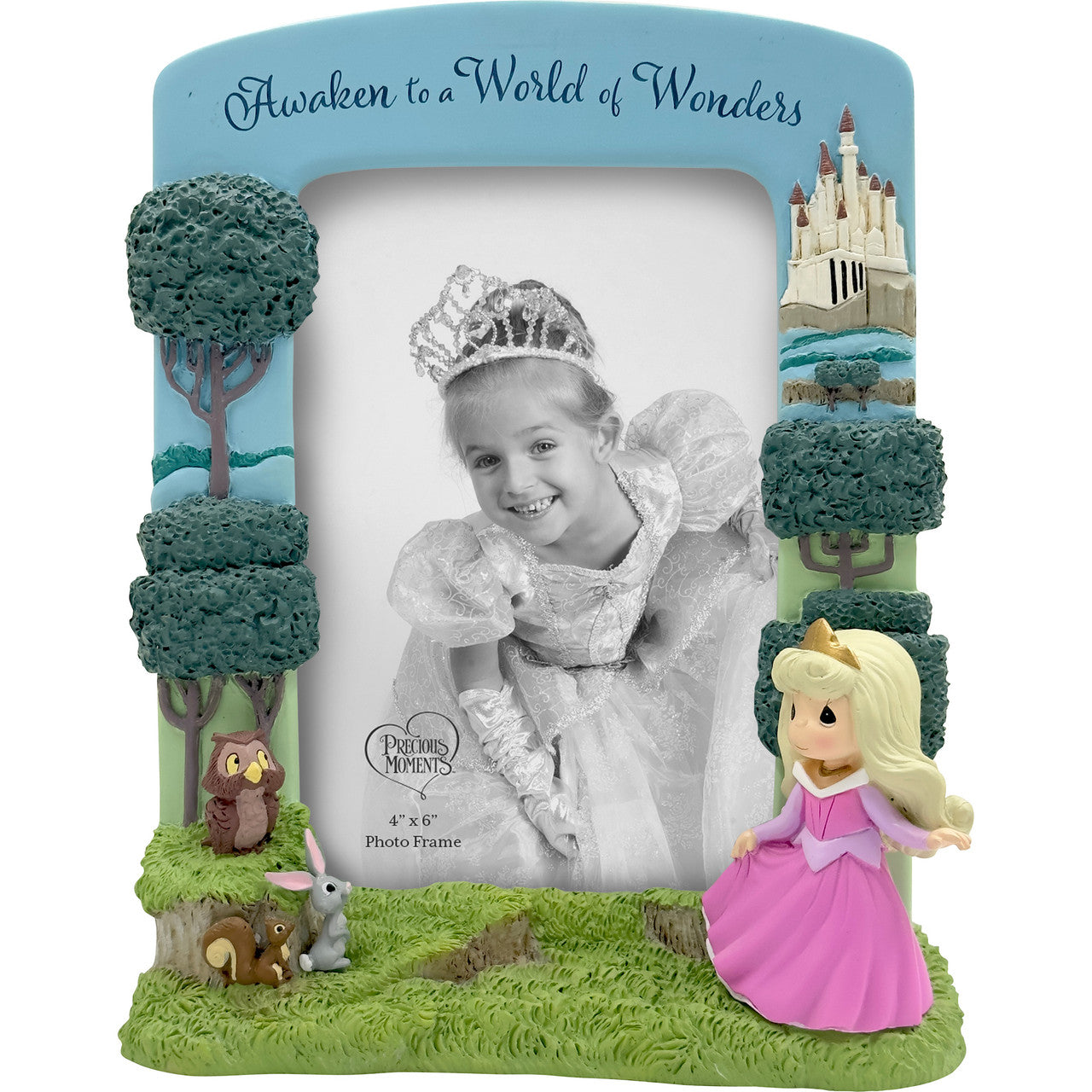 Awaken to a World of Wonders Disney Precious Moments Frame