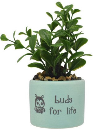 Buds For Life Precious Moments Articial Succulent