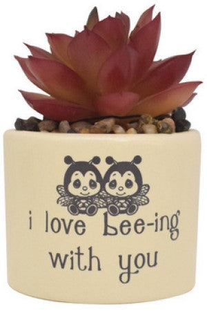 I Love Bee-ing With You Precious Moments Artificial Succulent