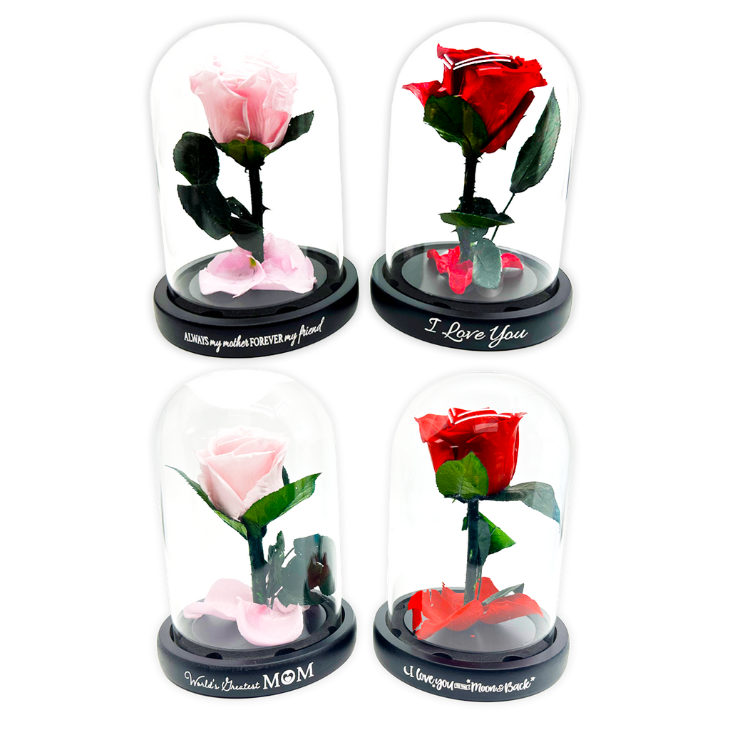 Real JUMBO Preserved Rose Keepsake Glass Gift