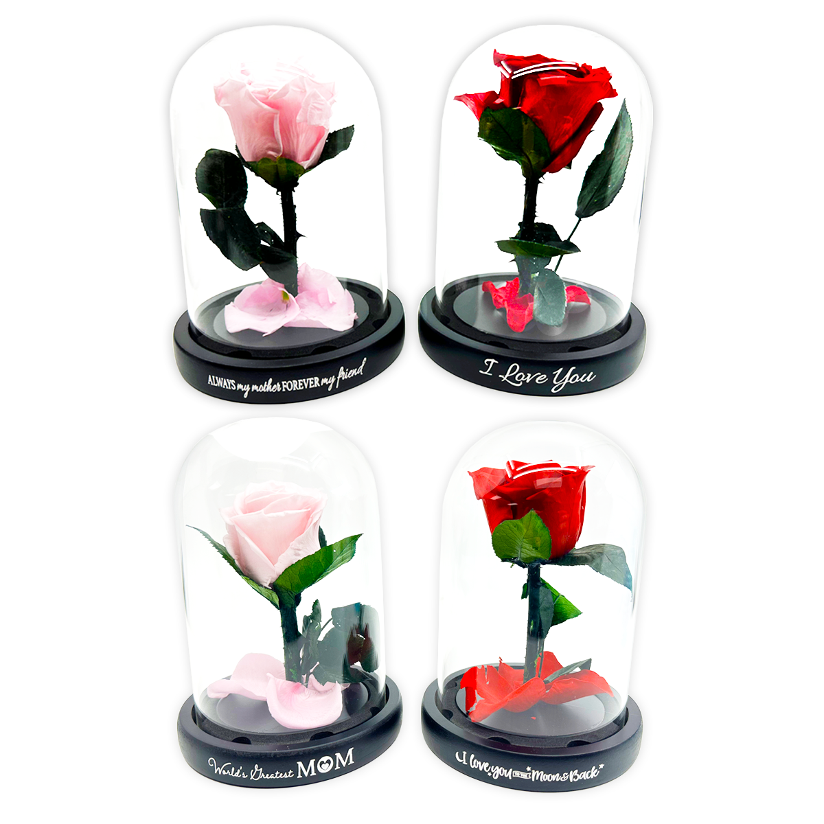 Real JUMBO Preserved Rose Keepsake Glass Gift