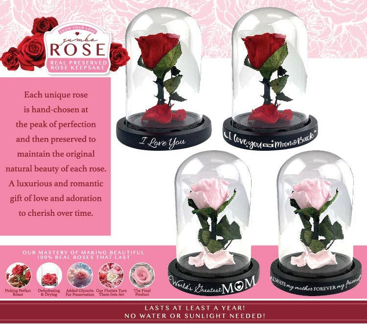 Real JUMBO Preserved Rose Keepsake Glass Gift