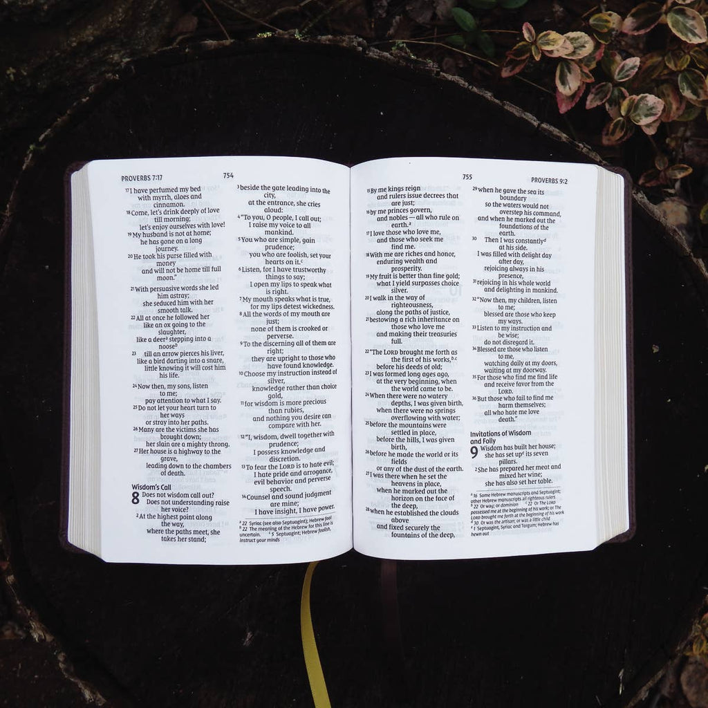 NIV Larger Print Compact Bible, Leathersoft, Brown