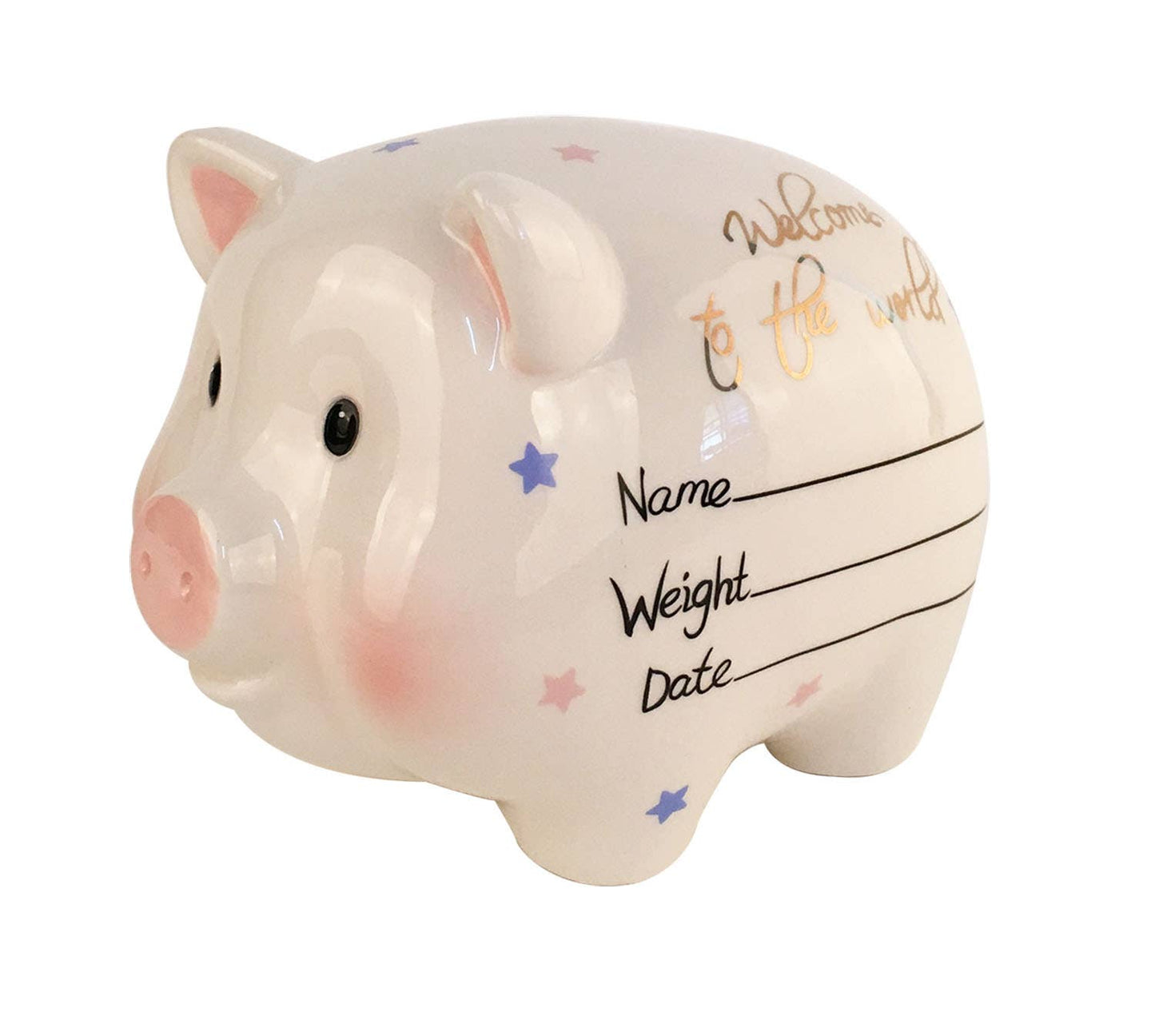 Welcome to the World Piggy Bank